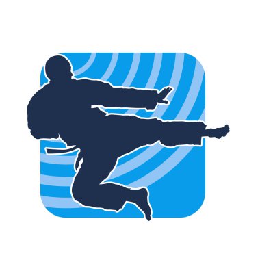 Dövüş sanatları pozu veren bir erkeğin silueti. Dövüş sanatları ustasının silueti tekme atma pozu veriyor..