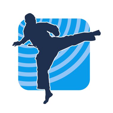 Dövüş sanatları pozu veren bir erkeğin silueti. Dövüş sanatları ustasının silueti tekme atma pozu veriyor..