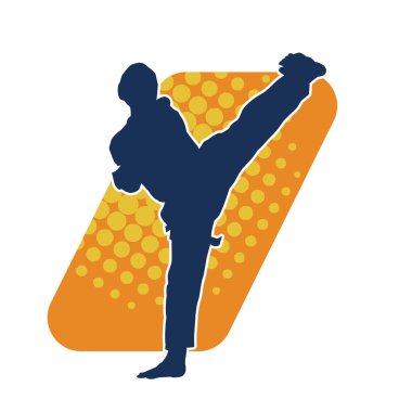 Dövüş sanatları pozu veren bir erkeğin silueti. Dövüş sanatları ustasının silueti tekme atma pozu veriyor..