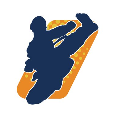 Dövüş sanatları pozu veren bir erkeğin silueti. Dövüş sanatları ustasının silueti tekme atma pozu veriyor..