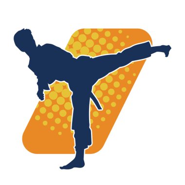 Dövüş sanatları pozu veren bir erkeğin silueti. Dövüş sanatları ustasının silueti tekme atma pozu veriyor..