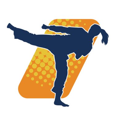 Dövüş sanatları tekmesi pozu veren bir kadının silueti. Dövüş sanatlarındaki bir kadının silueti tekme atma pozu veriyor..