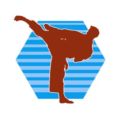 Dövüş sanatları pozu veren bir erkeğin silueti. Dövüş sanatları ustasının silueti tekme atma pozu veriyor..