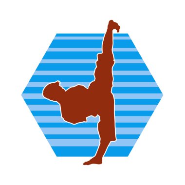 Dövüş sanatları pozu veren bir erkeğin silueti. Dövüş sanatları ustasının silueti tekme atma pozu veriyor..