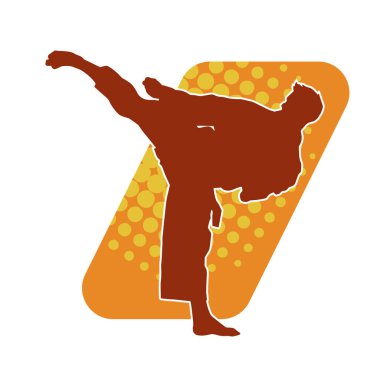 Dövüş sanatları pozu veren bir erkeğin silueti. Dövüş sanatları ustasının silueti tekme atma pozu veriyor..