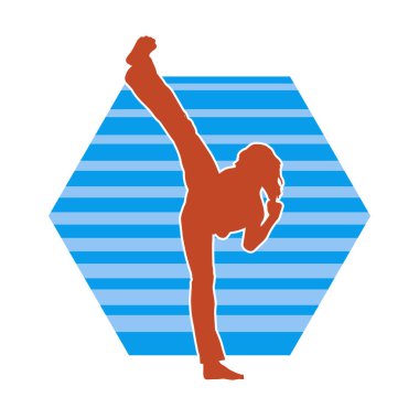 Dövüş sanatları yapan zayıf bir kadının silueti. Dövüş sanatlarında çalışan bir kadının silueti..