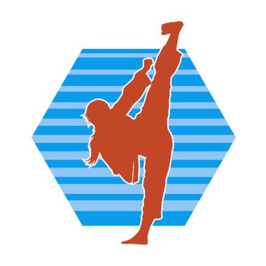 Dövüş sanatları yapan zayıf bir kadının silueti. Dövüş sanatlarında çalışan bir kadının silueti..