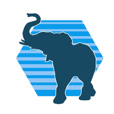 Büyük bir fil hayvanının silueti. Vahşi bir fil hayvanının silueti..