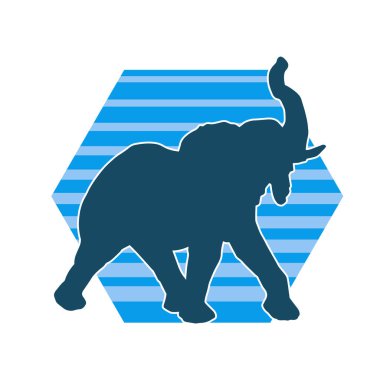 Büyük bir fil hayvanının silueti. Vahşi bir fil hayvanının silueti..