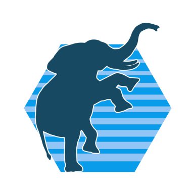 Büyük bir fil hayvanının silueti. Vahşi bir fil hayvanının silueti..