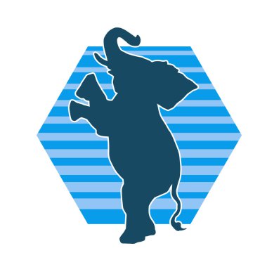 Büyük bir fil hayvanının silueti. Vahşi bir fil hayvanının silueti..