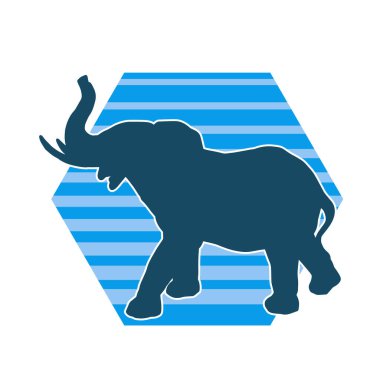 Büyük bir fil hayvanının silueti. Vahşi bir fil hayvanının silueti..