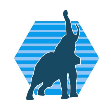 Büyük bir fil hayvanının silueti. Vahşi bir fil hayvanının silueti..