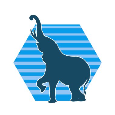 Büyük bir fil hayvanının silueti. Vahşi bir fil hayvanının silueti..