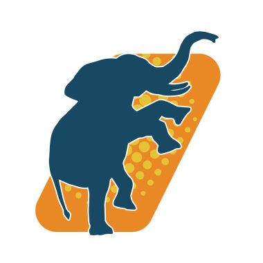 Büyük bir fil hayvanının silueti. Vahşi bir fil hayvanının silueti..