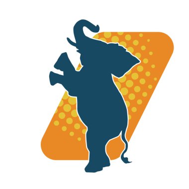 Büyük bir fil hayvanının silueti. Vahşi bir fil hayvanının silueti..