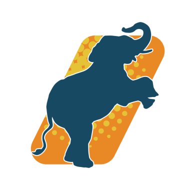 Büyük bir fil hayvanının silueti. Vahşi bir fil hayvanının silueti..