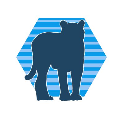 Vahşi bir ormanın silueti. Büyük kedi yürüyüşü. Beyaz arka planda izole bir poz..