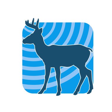 Güzel boynuzları olan vahşi bir geyik ormanının silueti.. 