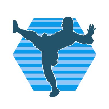 Dövüş sanatları pozu veren bir erkeğin silueti. Dövüş sanatları ustasının silueti tekme atma pozu veriyor..