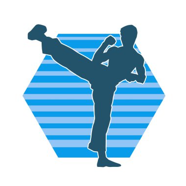 Dövüş sanatları pozu veren bir erkeğin silueti. Dövüş sanatları ustasının silueti tekme atma pozu veriyor..