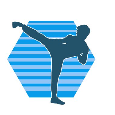 Dövüş sanatları pozu veren bir erkeğin silueti. Dövüş sanatları ustasının silueti tekme atma pozu veriyor..