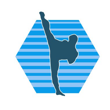 Dövüş sanatları pozu veren bir erkeğin silueti. Dövüş sanatları ustasının silueti tekme atma pozu veriyor..