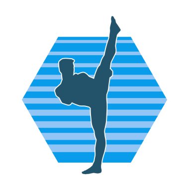 Dövüş sanatları pozu veren bir erkeğin silueti. Dövüş sanatları ustasının silueti tekme atma pozu veriyor..