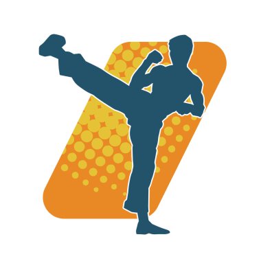 Dövüş sanatları pozu veren bir erkeğin silueti. Dövüş sanatları ustasının silueti tekme atma pozu veriyor..