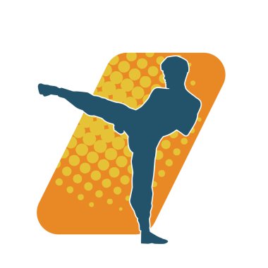 Dövüş sanatları pozu veren bir erkeğin silueti. Dövüş sanatları ustasının silueti tekme atma pozu veriyor..