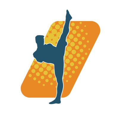 Dövüş sanatları pozu veren bir erkeğin silueti. Dövüş sanatları ustasının silueti tekme atma pozu veriyor..