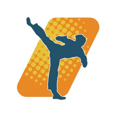 Dövüş sanatları pozu veren bir erkeğin silueti. Dövüş sanatları ustasının silueti tekme atma pozu veriyor..