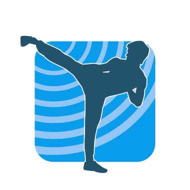 Dövüş sanatları pozu veren bir erkeğin silueti. Dövüş sanatları ustasının silueti tekme atma pozu veriyor..