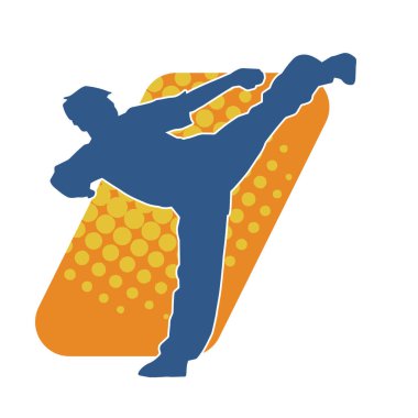 Dövüş sanatları pozu veren bir erkeğin silueti. Dövüş sanatları ustasının silueti tekme atma pozu veriyor..