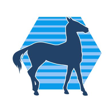 Koşan bir atın silueti. Koşan bir aygırın silueti.. 