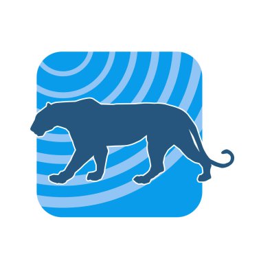 Vahşi bir ormanın silueti. Büyük kedi yürüyüşü. Beyaz arka planda izole bir poz..