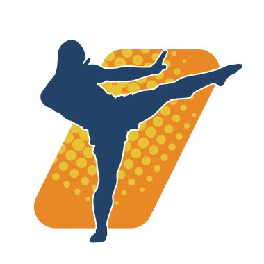 Dövüş sanatları tekmesi pozu veren bir erkek modelin silueti. Dövüş sanatlarının silueti..