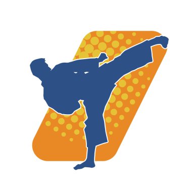 Dövüş sanatları pozu veren bir erkeğin silueti. Dövüş sanatları ustasının silueti tekme atma pozu veriyor..