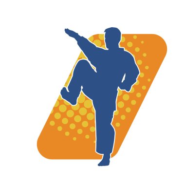 Dövüş sanatları pozu veren bir erkeğin silueti. Dövüş sanatları ustasının silueti tekme atma pozu veriyor..