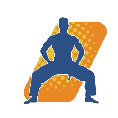 Dövüş sanatları pozu veren bir erkeğin silueti. Dövüş sanatları ustasının silueti tekme atma pozu veriyor..