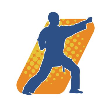 Doğu dövüş sanatı pozu veren bir adamın silueti. Dövüş sanatlarında bir erkeğin silueti..