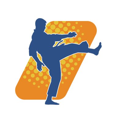 Dövüş sanatları pozu veren bir erkeğin silueti. Dövüş sanatları ustasının silueti tekme atma pozu veriyor..