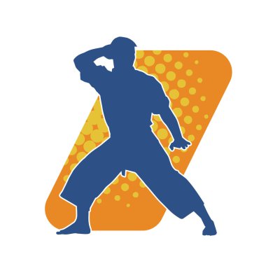 Doğu dövüş sanatı pozu veren bir adamın silueti. Dövüş sanatlarında bir erkeğin silueti..