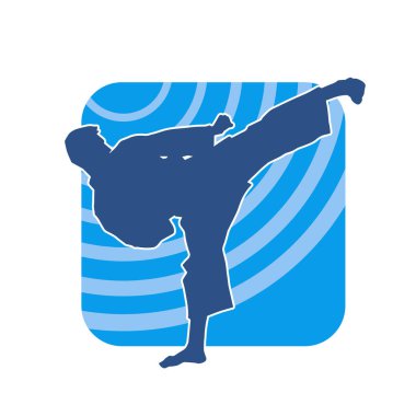 Dövüş sanatları pozu veren bir erkeğin silueti. Dövüş sanatları ustasının silueti tekme atma pozu veriyor..