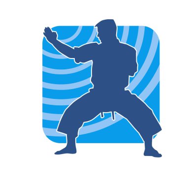 Doğu dövüş sanatı pozu veren bir adamın silueti. Dövüş sanatlarında bir erkeğin silueti..