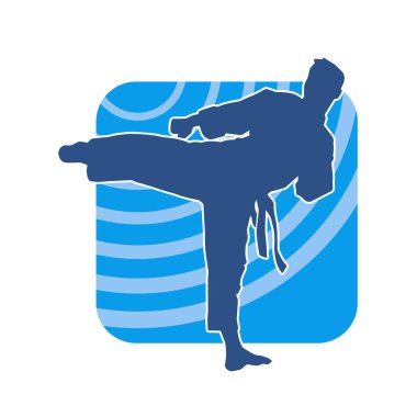 Dövüş sanatları pozu veren bir erkeğin silueti. Dövüş sanatları ustasının silueti tekme atma pozu veriyor..