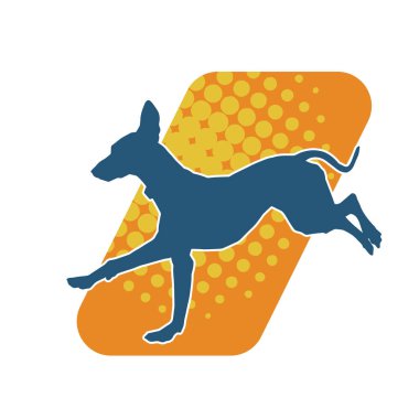 Aktif bir köpek hayvan silueti. 