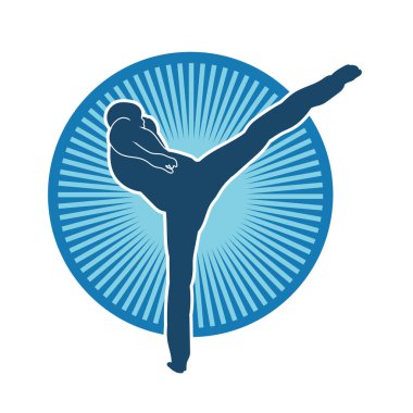 Dövüş sanatları pozu veren bir erkeğin silueti. Dövüş sanatları ustasının silueti tekme atma pozu veriyor..