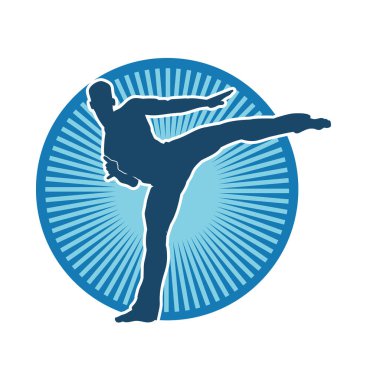 Dövüş sanatları pozu veren bir erkeğin silueti. Dövüş sanatları ustasının silueti tekme atma pozu veriyor..