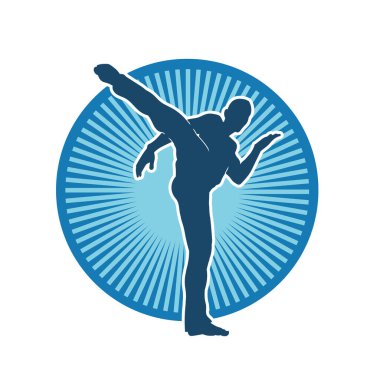 Dövüş sanatları pozu veren bir erkeğin silueti. Dövüş sanatları ustasının silueti tekme atma pozu veriyor..